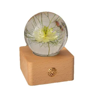 Handmade preserved nigella flower night light in crystal ball with wooden touch base.