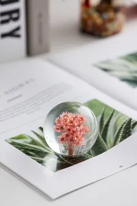 Vue détaillée d'une élégante boule de cristal avec fleurs séchées roses sur magazine.