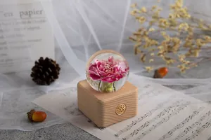 Detailansicht der konservierten rosa Nelke in Kristallkugel auf Holz-Spieluhr-Basis