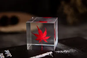 Presse-papier cube en résine avec véritable feuille d'érable rouge préservée décoration