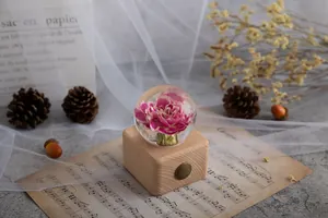 Detailansicht einer konservierten rosa Blume in Kristallkugel auf Holz-Spieluhr-Basis