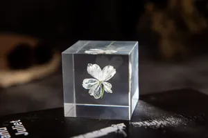 Vue rapprochée d'une fleur éternelle blanche figée dans un cube de résine transparente