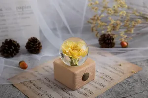 Detailansicht einer konservierten gelben Blume in einer Kristallkugel-Spieluhr aus Holz