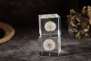 Détail macro de graines de pissenlit préservées dans un cube en résine transparente