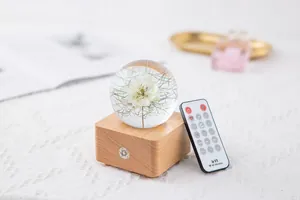 Detailed view of the crystal dandelion ball on a wooden base with its RF remote controller.