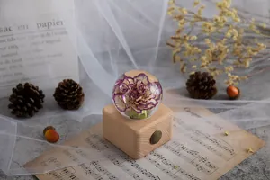 Elegante konservierte lila Nelke Kristallkugel auf Holz-Spieluhr-Basis Dekoration