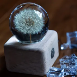 Detaillierte Nahaufnahme einer echten Pusteblume in einer Kristallkugel-Spieluhr