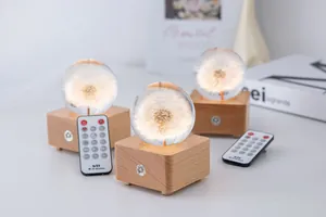 Detail view showing the glowing dandelion crystal ball music box and its wooden base.