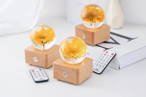 Macro view of three dandelion crystal ball music boxes with wooden bases and remotes.