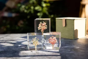 Bouquets élégants de fleurs séchées conservées dans des cubes de résine pour décoration romantique