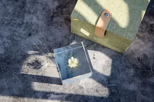 Vue détaillée d'une fleur blanche préservée dans un cube en résine avec lumière