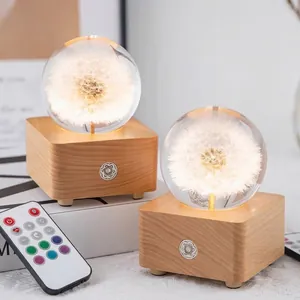 Nordic Bluetooth Crystal Ball Music Box Night Light With Real Dandelion Eternal Flower Solid Wood Base Remote Control Gift