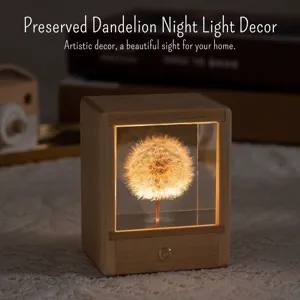 Warm gloeiende paardenbloem hars nachtlampje ornament in een vierkant houten frame