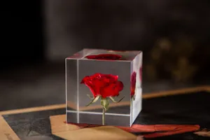 Vue macro détaillée d'une rose éternelle rouge dans un cube de résine transparent.