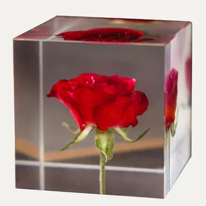 Rose rouge éternelle préservée dans un cube en résine transparent pour cadeaux romantiques
