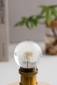Gros plan détaillé de l'accessoire de lampe boule de cristal pissenlit avec culot à vis E27