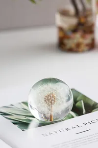 Gros plan détaillé d'une boule de cristal avec pissenlit réel posée sur un livre