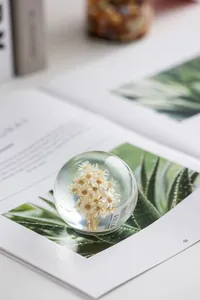 Gros plan détaillé d'une boule de cristal avec de magnifiques fleurs séchées blanches.