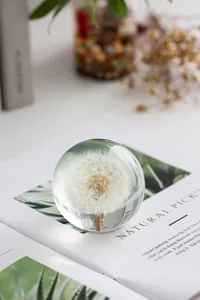 Gros plan détaillé montrant un pissenlit préservé dans une boule de cristal claire.