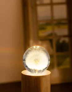 Veilleuse boule de cristal pissenlit lumineuse sur socle en bois minimaliste