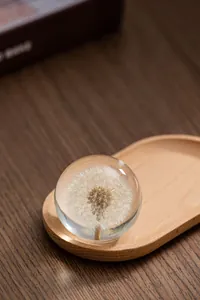 Gros plan détaillé d'un pissenlit naturel préservé dans une boule de cristal claire
