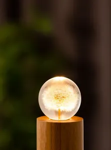 Gros plan d'une boule de cristal de pissenlit lumineuse sur un socle en bois