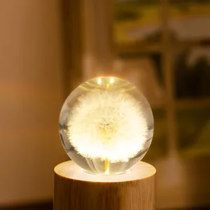 Boule de cristal pissenlit décorative avec socle en bois lumineux pour beau cadeau
