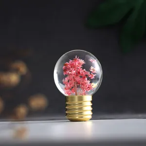 Creative rechargeable light bulb shaped crystal ball night light with pink dried flowers