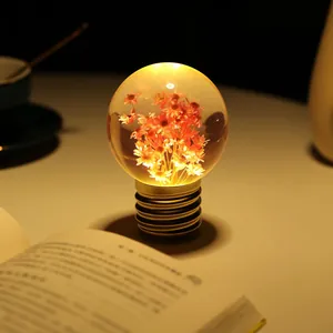 Creative rechargeable light bulb night light with dried flowers inside resin