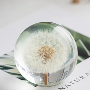 Élégante boule de cristal de pissenlit presse-papiers sur fond de magazine esthétique