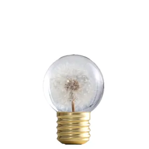 Creative dandelion crystal ball night light with golden bulb base specimen decoration