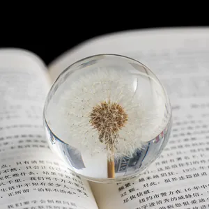Boule de cristal avec pissenlit préservé sur le fond d'une page de livre ouverte