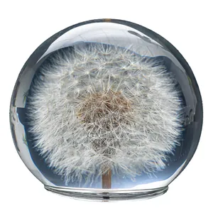 Ornement de boule de cristal avec un véritable pissenlit préservé à l'intérieur du verre.