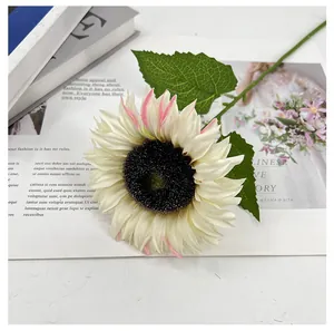 Nahaufnahme einer künstlichen cremefarbenen Sonnenblume mit rosa Spitzen