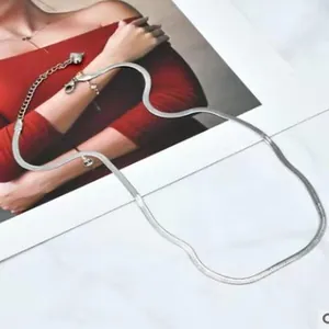 Detailed view of a sleek silver-toned herringbone snake chain necklace on a white surface