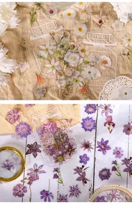 Detailed view of botanical floral stickers and transparent bottle specimen materials