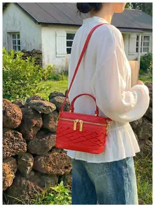 Bolso de caja roja con cremalleras doradas mostrado en un entorno al aire libre.