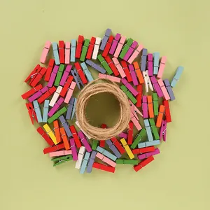 Bunte Mini-Holzwäscheklammern mit Juteschnur für DIY-Bastelarbeiten und Fotodisplay
