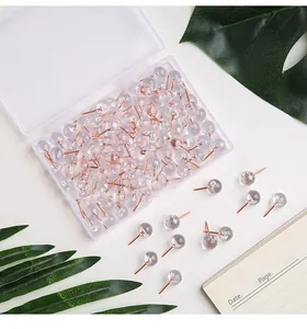 Detail von 100 transparenten Reißzwecken mit roségoldenen Nadeln in einer Klarsichtbox.
