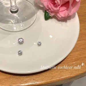 Exquisite magnetic zircon stud earrings for non-pierced ears displayed on a white plate