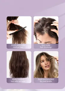 Professional hairbrush for frizzy hair, showing different hair problems and solutions