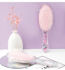Close-up of two cute cartoon transparent cushion hairbrushes with soft massage bristles