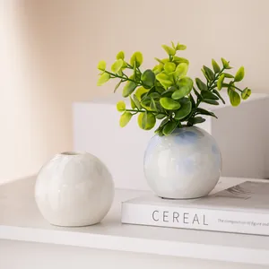 Modern minimalist round ceramic vase set with green plant decor