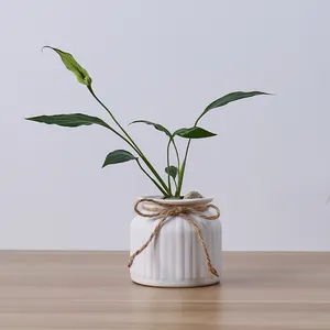 Modern white ceramic ribbed vase with jute twine bow for home decoration