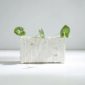 Minimalist white textured ceramic planter for hydroponic indoor plants and desktop decoration