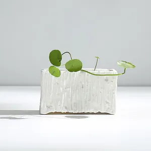 Minimalist white ceramic planter with a unique tree bark texture for indoor plants.