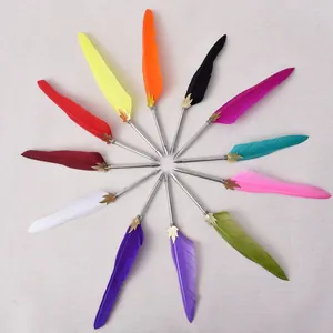 Collection de plumes d'oie vintage colorées disposées en cercle sur un tissu lin