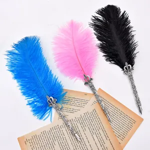 Detailed view of vintage ostrich feather quill pens on classic book pages for gifts