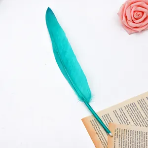 Close-up of elegant teal feather ballpoint pen on vintage paper