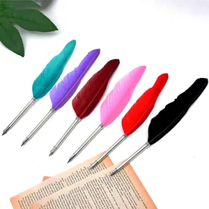 Coffret de six plumes d'oie colorées avec d'élégantes pointes en métal argenté pour cadeaux